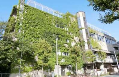 金曾木小学校