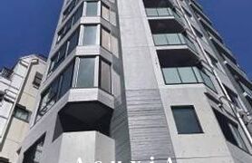 V-style入谷