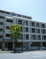 ソフトタウン白金