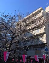 細井マンション