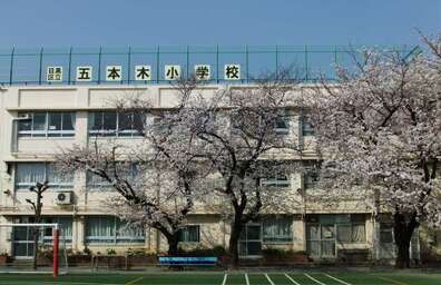 五本木小学校