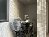 ピリナ南麻布 エントランス