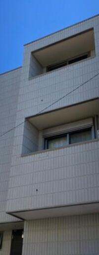 Wis teria 祐天寺
