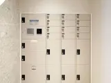 ヴォーヌング白金