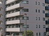 シャローム亀戸 5階 501 トップ画像