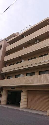 サン・オリーブ新名