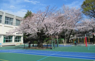 駒込小学校