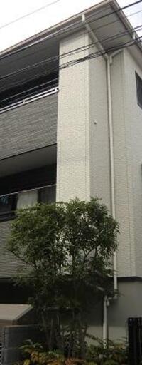 フォルムf