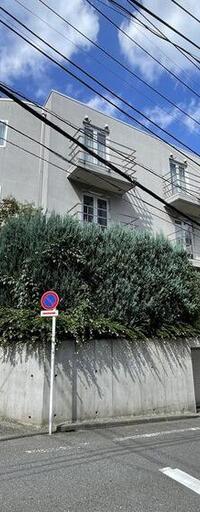 イーストグレーコート