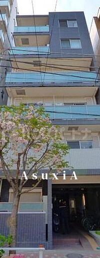 コスモ入谷