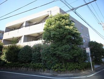 ソサエティオーパスツー