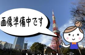 アイガーデン月島