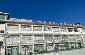 砧小学校