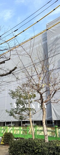 STANDZ柿の木坂