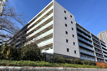 ロイジェントパークス押上錦糸町の外観