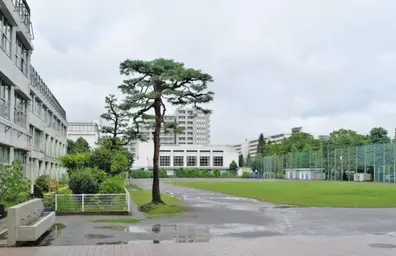池尻小学校