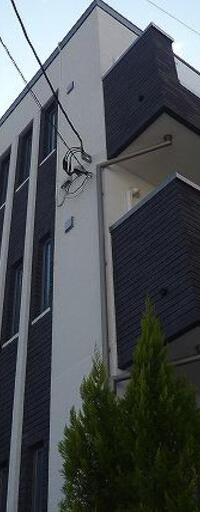 BLI MIU SHIROKANEDAI