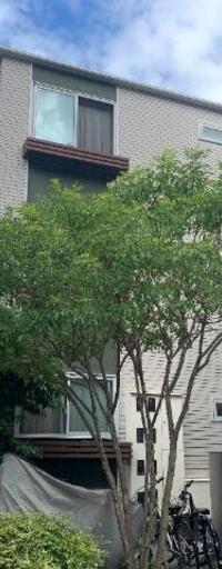 グリーンノート千駄木