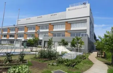 城山小学校