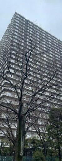 スカイシティ南砂