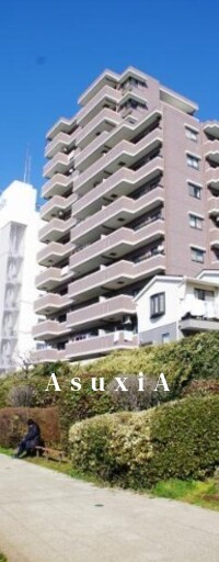 ナイスアーバン新大橋隅田川ステージ