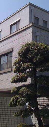 ドミールサイトウ