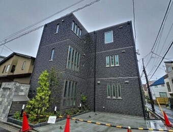 Ark Cassia
