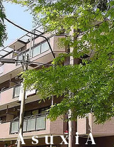 エディフィシオ成増