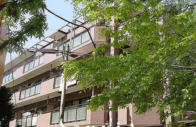 エディフィシオ成増