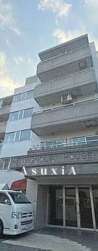 magnolia house