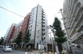 コート・フェリシア