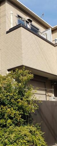 アシュエル