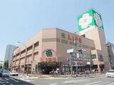 グランハイツ東新宿 4階 00402