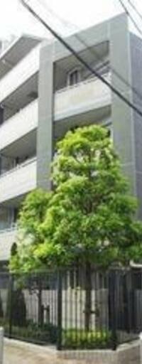 藤和学芸大学ホームズⅡ
