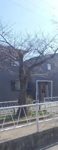 アベニューコート都立大