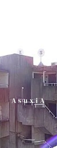 コリーヌ学芸大学