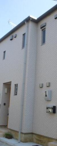 カーサオウギ