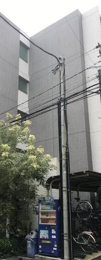 ERIGER T tomigaya