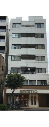 グリーンシャンク