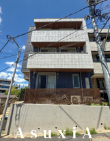 アステ―ル白金