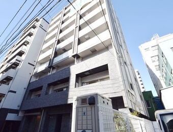 ステラマリス