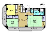コーポ川井 5階 501