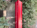 インウィステリア