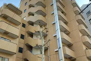 代々木伊藤ローヤルコーポの外観