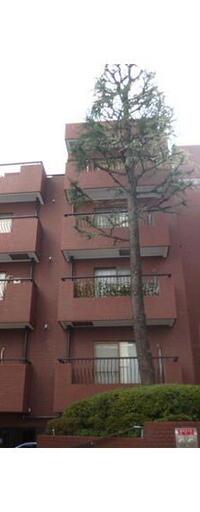 マンション広尾台