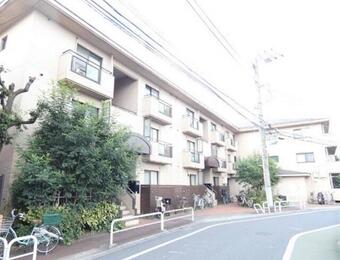 T’s garden小竹向原