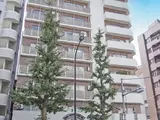 第12宮庭マンション