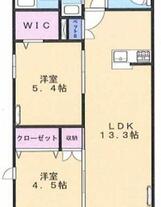 サンセベリアⅡ