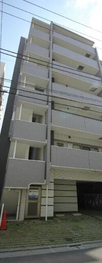 ルピナス・住吉