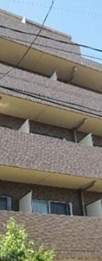 フォルトゥナ目白